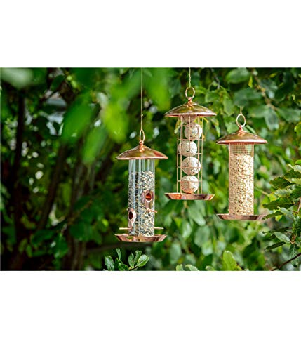 Dehner Natura Premium Wildvogel Meisenknödelsäule Joelle, Futterhaus / Futterstation für Wildvögel, Futterstelle wetterfest, inkl. Aufhängevorrichtung, Ø 16 cm, Höhe 30 cm, Metall, kupfer