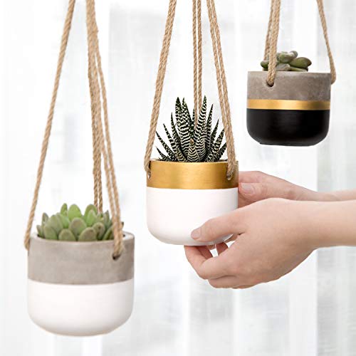 Dahey 3 Pack Small Cement Hanging Planter Succulent Pots With Jute Rope Hanger Modern Mini Concrete Flower Pots Indoor For Cactus Herb Or Small Plants Home Decor, 3 Inch #TOP3