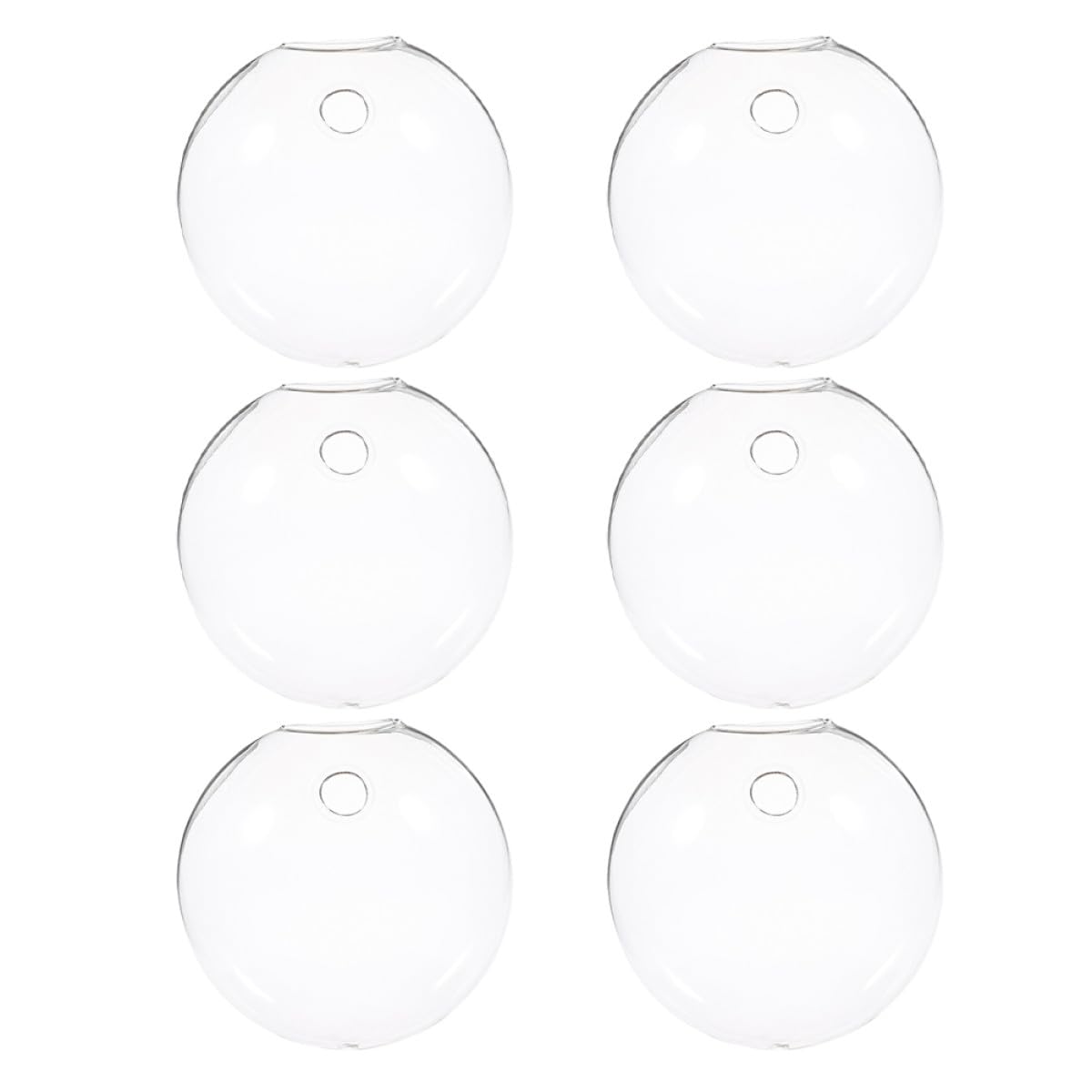 Vases hydroponiques en verre pour embellir une maison manque de place