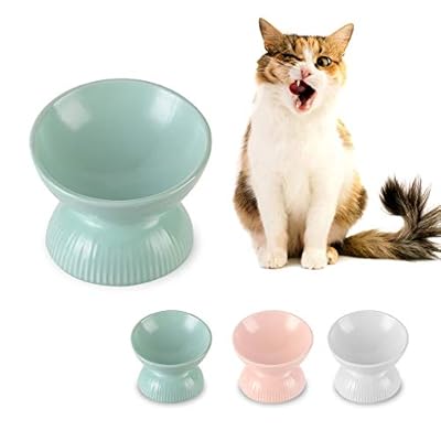 HCHLQLZ Green small Cat Bowl,Raised Cat Food Bowls Anti Vomiting,Tilted Elevated Cat Bowl,Ceramic Pet Food Bowl for Flat-Faced Cats,Small Dogs,Protect Pet's Spine,Dishwasher Safe