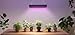 Phlizon 1200W LED Plant Grow Light - 2x2ft & 3x3ft Full Spectrum Daisy Chain Plant Light with Double Switch for Indoor Veg & Flower