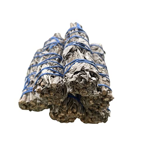 White Sage