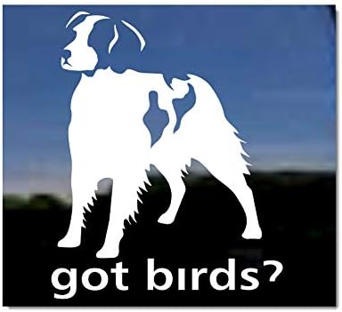 GOT Birds? ~ American Brittany Dog Vinyl Window Auto Decal Sticker