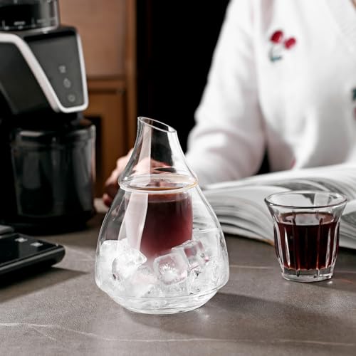 Bincoo Cafeteira Cold Brew, cafeteira gelada de 180 ml/170 g, vidro borossilicato duplo, câmara inte