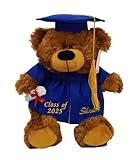 Tri Color Graduation Bear Class of 2025 Plush Gift Blue Gown Blue Hat 12 inch