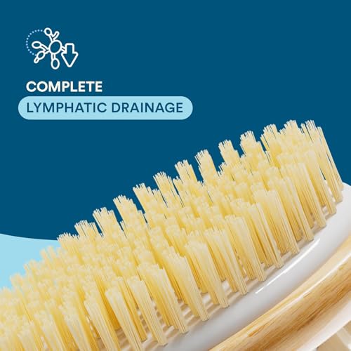 Image of Rosena 2-in-1 Long Handle Body Brush | For Skin Exfoliation and Massage | Reduces Cellulite | Stimulates Blood Circulation & Reduces Dead Skin Cells | Natural, Soft Bristles | (1 unit)