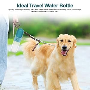 Portable Dog Water Bottle – Leak-Proof Water Dispenser with Drinking Feeder & Carry Strap for Pet – Feeding Accessories – 13.5 oz., Blue