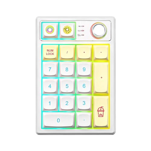 YUNZII YZ19 Wireless Mechanical Number Pad,19 Keys Numeric Keypad with Knob, RGB Gasket PBT Keycaps Hot Swappable Programmable Keyboard, Number Keypad for Laptop/Tablet/PC/Mac/Win (Macaron Brown)