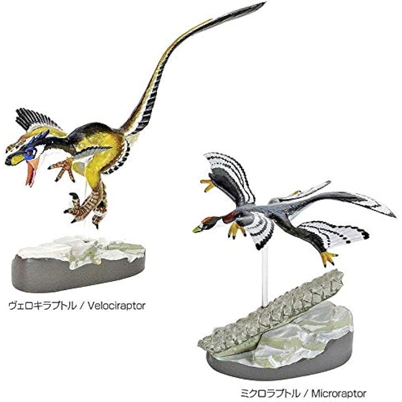 Carolata Feathered Dinosaur 그림 3 차원 백과 사전 공룡 / 7 유형 설명 매뉴얼 스탠드 실제 상자 장난감 교육 선물 음식 위생 법 청산 크리스마스 깃털 상세이미지 5