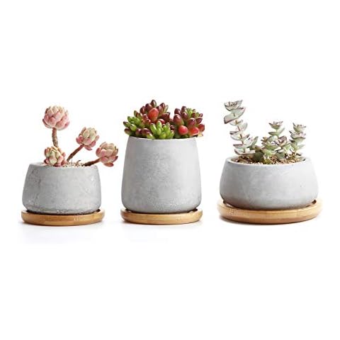 T4U 3 Inch - 4.25 Inch Cement Succulent Cactus Pot, Concrete Planter Pot Container Window Box, Small Clay Pot for Plants Flowers with Drainage Bamboo Tray for Home Decor, Set of 3(Grey) Cover