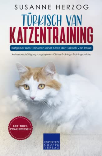 Wie erkennt man, ob eine Katze gedeckt wurde?