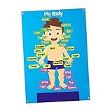 QUXVUIS Conjunto de Manualidades educativas para Aprender Las Partes del Cuerpo, Regalo para niños pequeños, participación en Espacios de Aprendizaje y Tiempo Juego en casa, educación Preescolar,