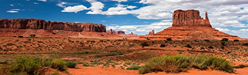 Carolina Custom Cages Reptile Habitat Background; Monument Valley Merrick Butte, for 36Lx18Wx24H Terrarium, 3-Sided Wraparound