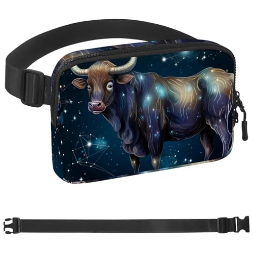 Sac banane pour festival et voyage Taurus l'accessoire multicolore