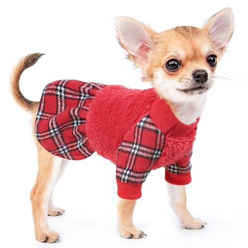 XXS Dog Clothes The 15 best products compared Wild Explained