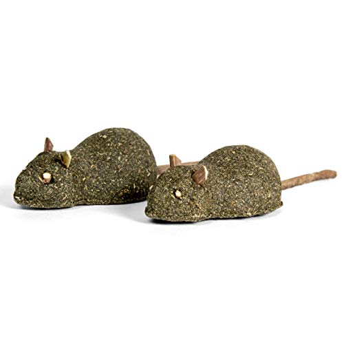 Twin Critters Organic Silver Vine Mice Lollipop Matatabi Sticks - Dental Health - for Cats & Kittens 100%, All-Natural Silvervine (2 Pack)| Wild Harvested with No Additives Or Preservatives
