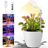 Churika Venus Flytrap Desktop Pot with LED Grow Light — Planter Pot with Air Vent for Indoor Succulents, Moss & Butterwort Plants, Unique Home & Office Desk Decor Gift