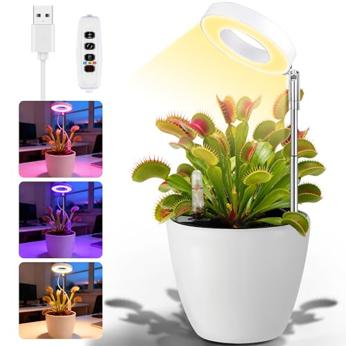 Churika Venus Flytrap Desktop Pot with LED Grow Light —