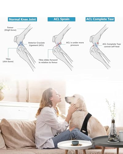 Image of Dog Knee Brace for Hind and Rear Leg, Support for Dog ACL CCL Cruciate Ligament Injury Joint Pain and Muscle Sore (Size: S)