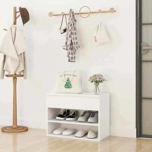 Banco de zapatos blanco con 2 estantes y baúl para pasillo y dormitorio, zapatero (60 x 30 x 45 cm)