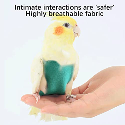 Ali2 Bird Diapers Harness And Leash Parrot Flight Clothes Suit Bird Clothes Washable Parakeet Recovery Diapers For Small Medium Birds Parakeets Parrot Cockatiel Conure L #TOP4