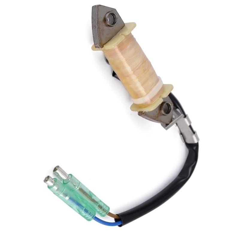 Bobine de stator durable pour moteur de bateau FT9.9D