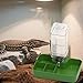 Reptile Feeder Water Bowl Habitat Accessory Multi Compartments Reptile Waterer Drinking Bowl for Gecko Turtle Chameleon Snake, Green Large