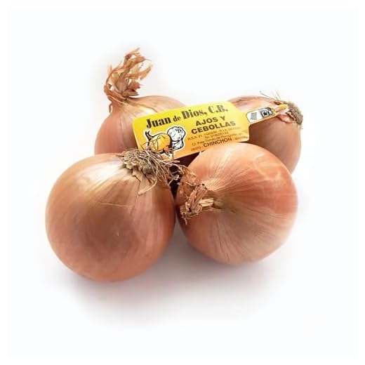 Cebolla (butti) - 1 kg