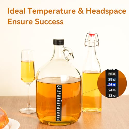 Mead Making Kit for Beginners - Complete Home Brewing Starter Set with Reusable Supplies, 1 Gallon Glass Honey Wine Fermentation Jar with 4 Pcs Bottles Yeast & Nutrients Hydrometer Operation Guide