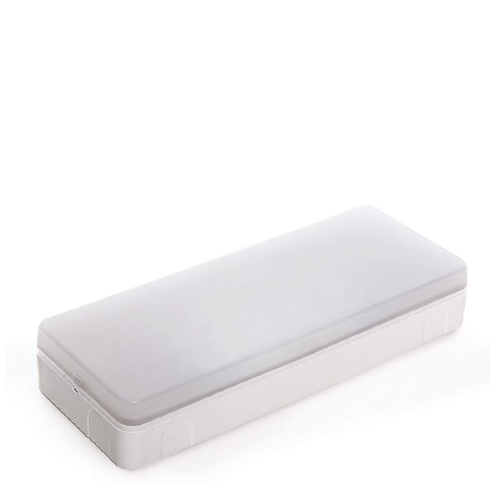 Alumbrado Emergencia LED Esera 100Lm 1 Hora IP44 | Greenice
