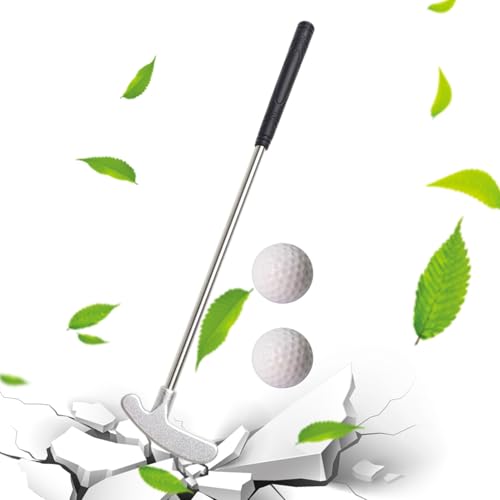 Putter de Golf bidirectionnel - Manche en Acier Inoxydable...