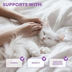 RELAXIVET Calming Pheromone Spray & Scratch Repellent for Cats - Reduces Scratching Furniture, Pee - During Travel, Fireworks, Thunder, Vet Zone - Helps to Relief Stress, Fighting, Hiding RELAXIVET Calming Pheromone Spray Scratch Repellent for Cats Reduces Scratching Furniture Pee During Travel Fireworks Thunder Vet Zone Helps to Relief Stress Fighting Hiding