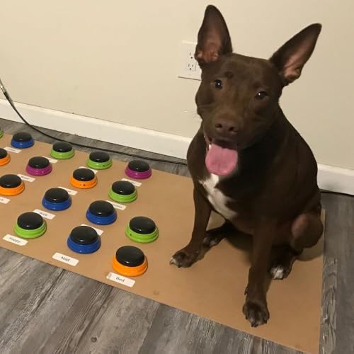 Hunger for Words Talking Pet Starter-Set, aufnahmefähige Tasten für Hunde, Hunde-Sprechtasten, bringen Sie Ihrem Hund das Sprechen bei, Mehrfarbig, 1 Stück (1er Pack), Kunststoff