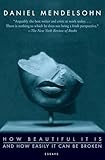 How Beautiful It Is And How Easily It Can Be Broken: Essays – Provocative Criticism on Literature, Broadway, Film, and Classics with Wit and Erudition