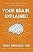 Your Brain, Explained: What Neuroscience Reveals About Your Brain and its Quirks