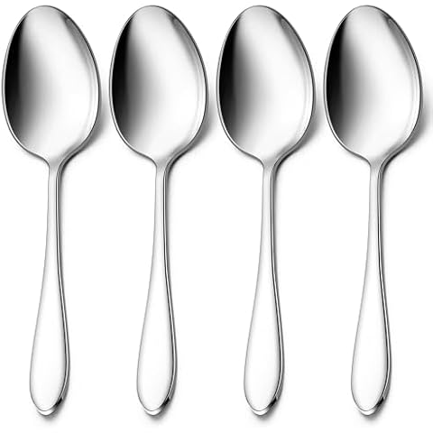 E-far 4-Piece Stainless Steel Spoons Cover