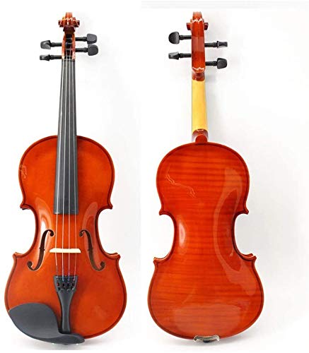 Violin para Ninos Principiantes Night Single Board Art Flower Splint Student Practice Universal Violin...