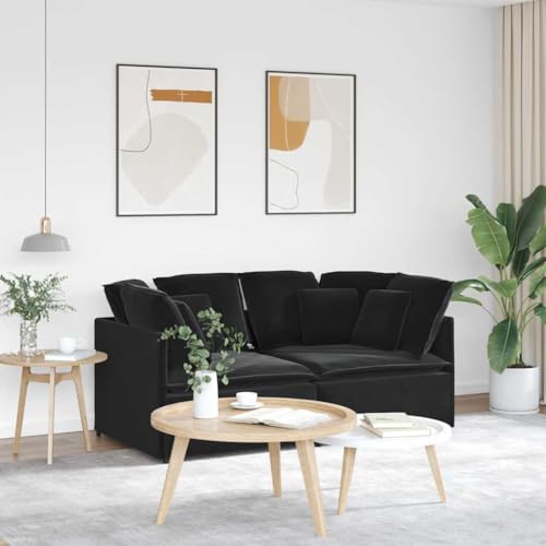 Sofá modular de 2 plazas para optimizar espacio en salones pequeños y habitaciones de invitados 2