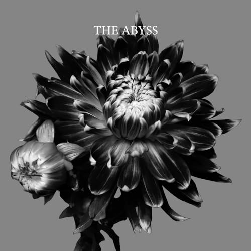 【Amazon.co.jp限定】THE ABYSS (初回限定盤)(特典:メガジャケ付)