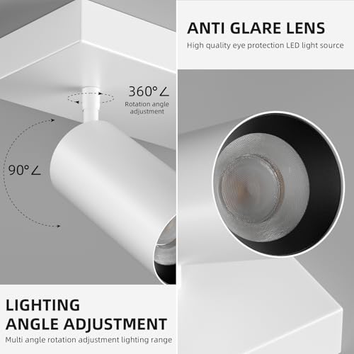 Image of Spotlight Indoor Ceiling LED Light,2 Lights 40W Modern Spot Light Fixtures 4000K White Accent 300Adjustable Picture Painting For Living Room Bedroom Hallway Gallery Flush Mount Directional Lighting