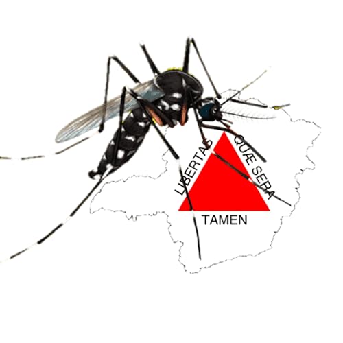 DENGUE MINAS GERAIS - Faça parte do esforço coletivo para combater a dengue em Minas Gerais!