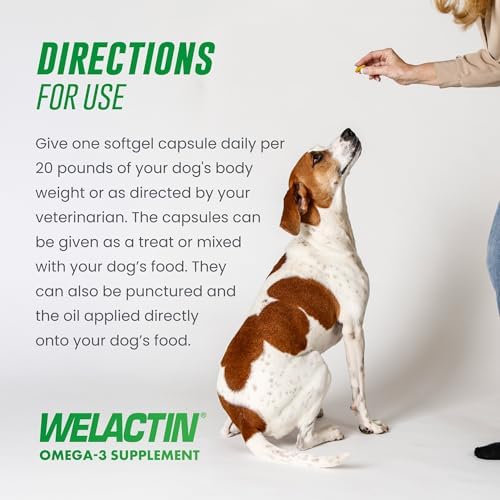 Nutramax Welactin Canine Softgels, Omega 3 Supplement for Dogs of all Sizes, Softgels, 120 Count : Pet Fish Oil Nutritional Supplements : Pet Supplies Product Image