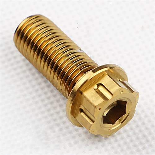I[goC̃lW `^ {g M10x25 MM I[goC gNX XN[ t@Xi[ 2 (2 pcs Gold)