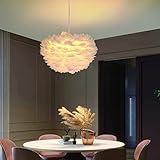 yeazchoan Feather Chandelier Light Fixture, Modern White Chandelier, Creative Ceiling Light,19.7-in...