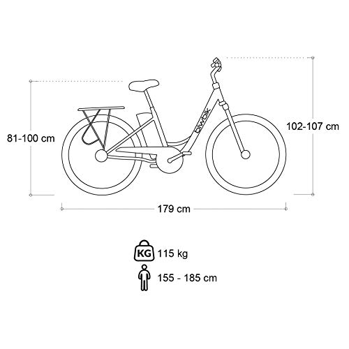 BIWBIK Bicicletta ELETTRICA MOD. Sunray 200