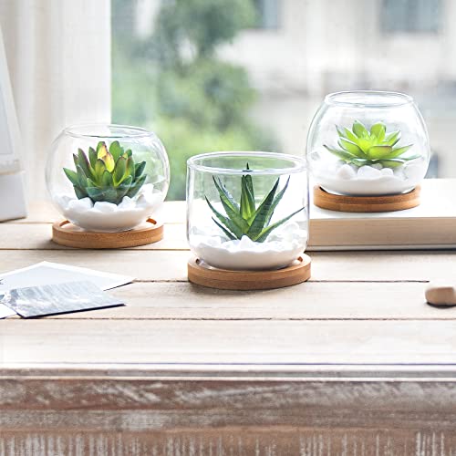 Mkono Fake Hanging Plant With Pot Artificial Succulent In Clear Glass Pot Fake Plants For Home Decor Indoor Faux Green Plant For Bedroom Bathroom Kitchen Office #TOP3