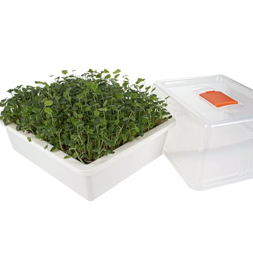 Reptiles Planet - Repti Serre - Mini Serre de Germination pour Nourrir Les Tortues Terrestres et Reptiles Herbivores