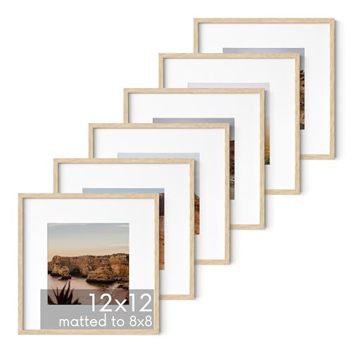HAUS AND HUES Solid Oak Wood 12”x12” Picture Frames Matted to 8”x8” Set of 6 - Photo Gallery Wall Frames 12x12, Wood Picture Frames with Mat, 12x12 Gallery Wall Set (Beige Oak Frames)