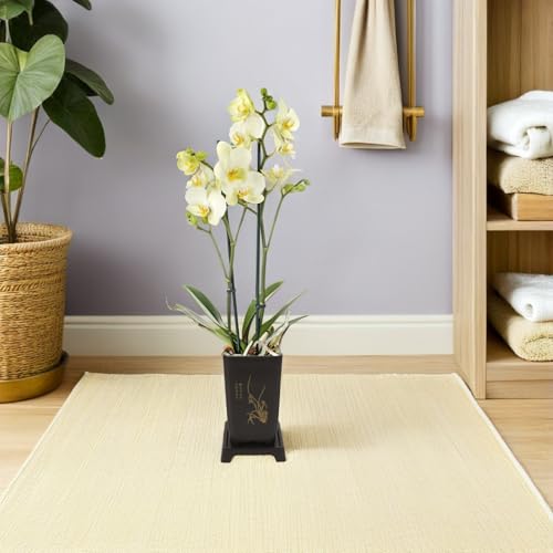 Pots à fleurs plastique pour orchidées évitant le pourrissement - 6