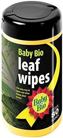 Baby Bio Leaf Wipes - 80 Wipes (5)